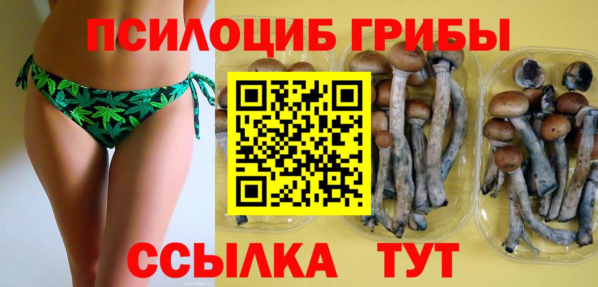 Галлюциногенные грибы Cubensis  закладки  Псилоцибиновые грибы MAGIC MUSHROOMS  Кохма  Вход с VPN 